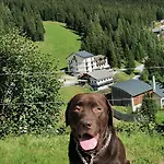 Alpengasthof Tanzstatt Inn Lachtal