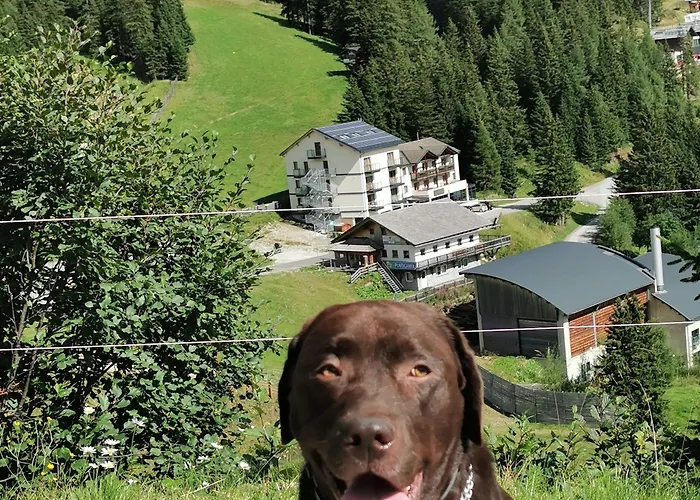 Alpengasthof Tanzstatt Kro Lachtal